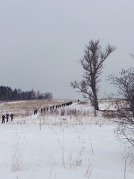 �����������, 30 ������ 2010