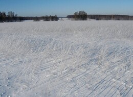 �����������, 7 ������� 2010