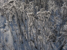 �����������, 7 ������� 2010