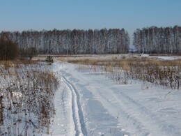 �����������, 7 ������� 2010