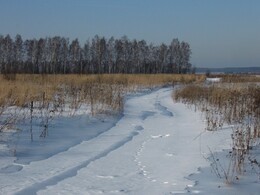 �����������, 7 ������� 2010