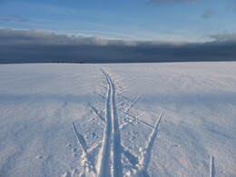 �����������, 6 ����� 2010