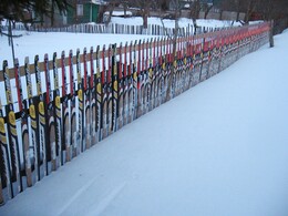 ����� �� ���, �������, �����������, 6 ����� 2010