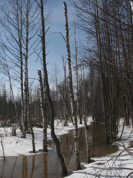 �����������, 28 ����� 2010