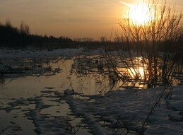 �����������, 28 ����� 2010