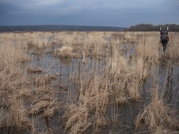 � ����� ���� ���, �����������, 5 ������ 2010