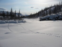 ����� ��������, 15 ������ 2010