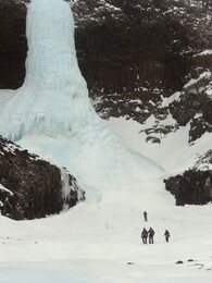 ����� ��������, 17 ������ 2010