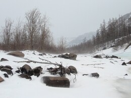 ����� ��������, 20 ������ 2010