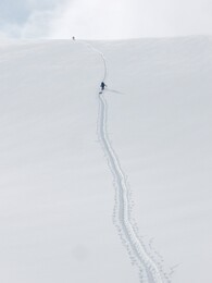 ����� ��������, 22 ������ 2010