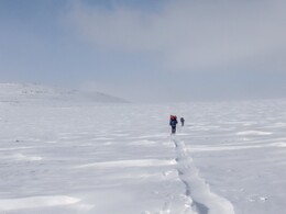 ����� ��������, 22 ������ 2010