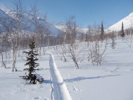 ����� ��������, 22 ������ 2010