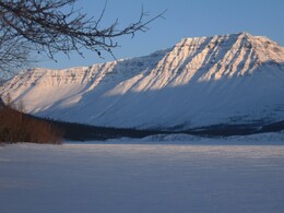 ����� ��������, 22 ������ 2010