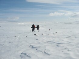 ����� ��������, 1 ��� 2010