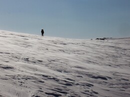 ����� ��������, 1 ��� 2010