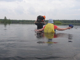 ����������� ��������������� ��� ����������, 16 ��� 2010