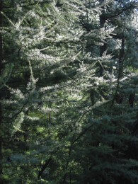 �����, 26 ���� 2010