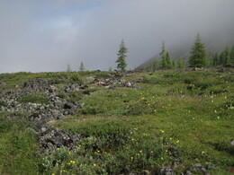 �����, 27 ���� 2010