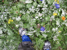 ����� ���������, �����, 29 ���� 2010