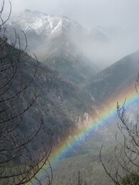 �����, 3 ������� 2010