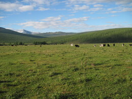 �����, 4 ������� 2010