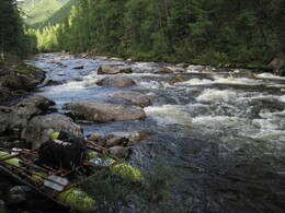 ���� �����, �����, 5 ������� 2010