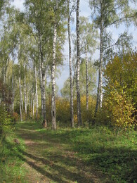 �����������, 3 ������� 2010