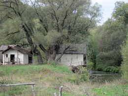 ���������, �����������, 3 ������� 2010