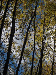 �����������, 16 ������� 2010