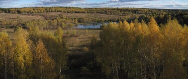 �����������, 16 ������� 2010