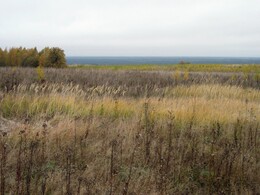 �����������, 17 ������� 2010