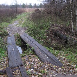 �����������, 30 ������� 2010