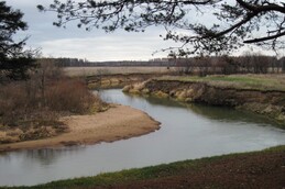 ���� ������, �����������, 6 ������ 2010