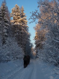 ������, 4 ������ 2011