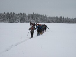 �����������, 15 ������ 2011