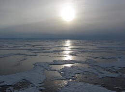 ����� ��������, ��������, 25 ������� 2011