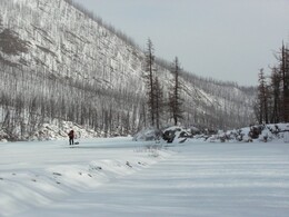 ��������, 26 ������� 2011