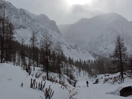 ��������, 26 ������� 2011