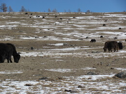 ��������� ���, ��������, 5 ����� 2011