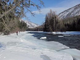 ���� ������-���, ��������, 12 ����� 2011