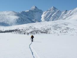 ��������, 14 ����� 2011