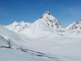 ��������, 15 ����� 2011