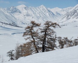 ��������, 17 ����� 2011