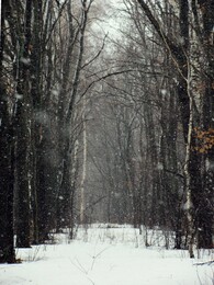 �����������, 9 ������ 2011