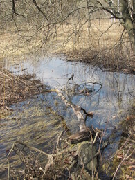 �����������, 23 ������ 2011