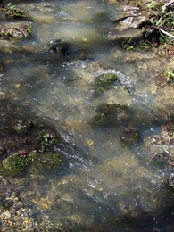 ����������� �������, 7 ��� 2011