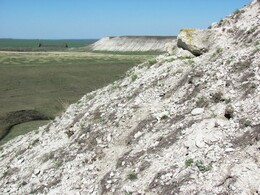 ����������� �������, 8 ��� 2011