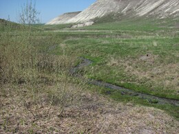 ����������� �������, 8 ��� 2011