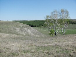 ����������� �������, 8 ��� 2011