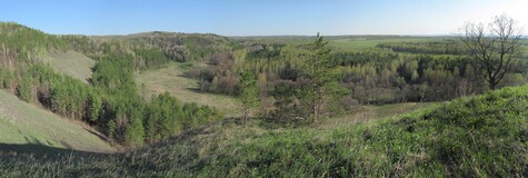 ����������� �������, 8 ��� 2011